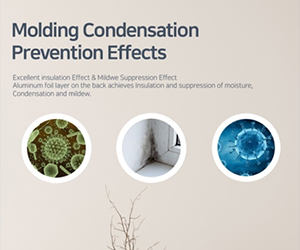 Molding Condensation Prevention Effects